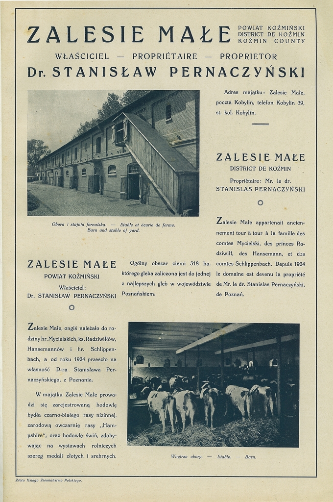215 zalesie male.jpg